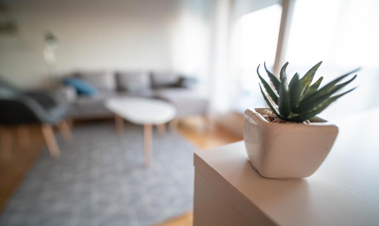 Apartament Destination Senja - Stonglandseidet Zewnętrze zdjęcie